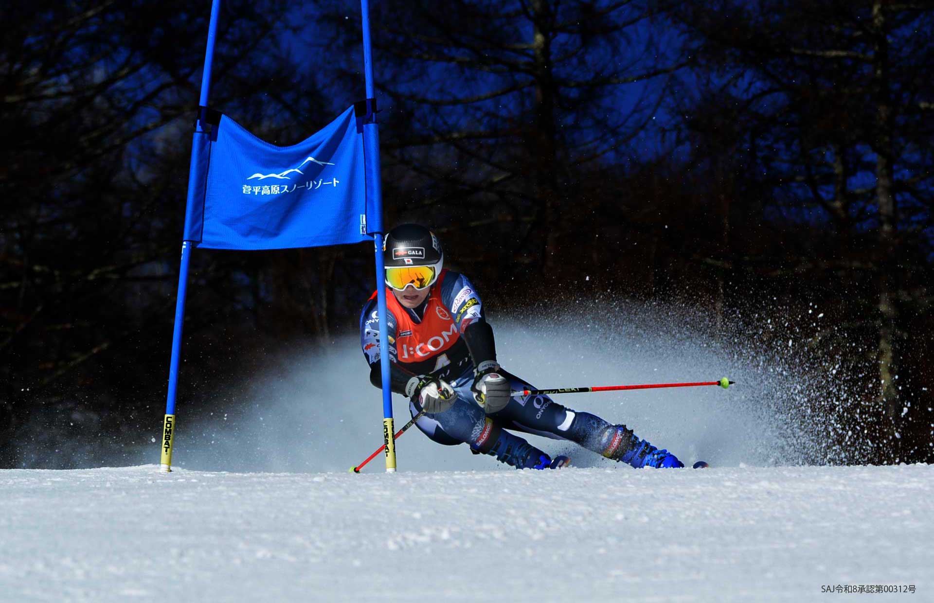 DEMO　オーダー締め切り2026年6月28日