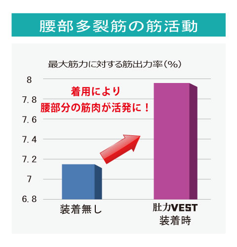 力（はらぢから）VEST検査グラフ