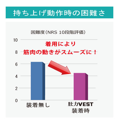 力（はらぢから）VEST検査グラフ