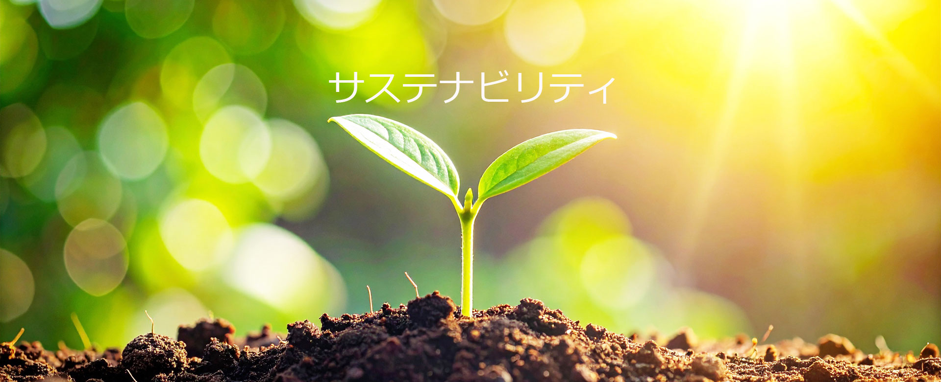 サステナビリティ