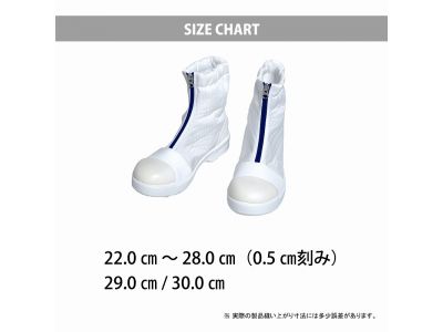 サイズ