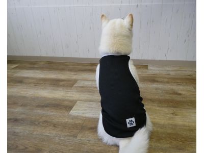 柴犬　009（ブラック）着用