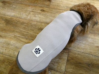 ミニチュアダックスフンド　004（グレー）着用