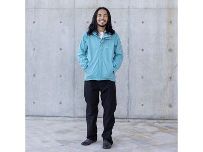 ダスティーブルー(662)