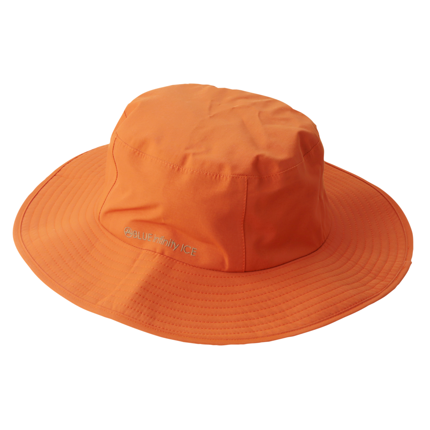 WP3L HAT